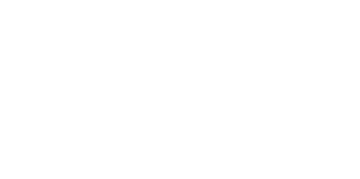 Stake logo whit