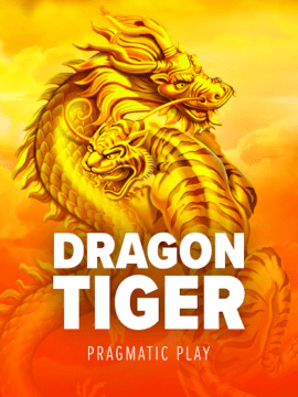 dragon tiger image