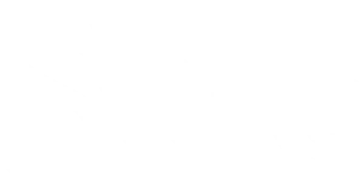 Stake logo white