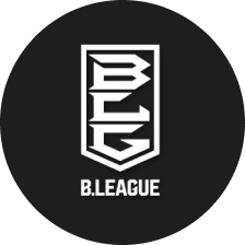 basketball blg logo min