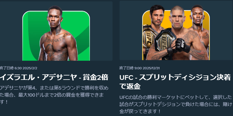 UFC専用プロモーション例